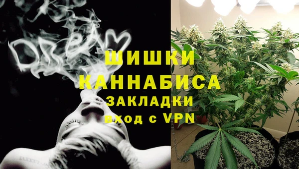 бошки Щигры
