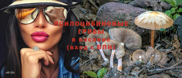 бошки Щигры