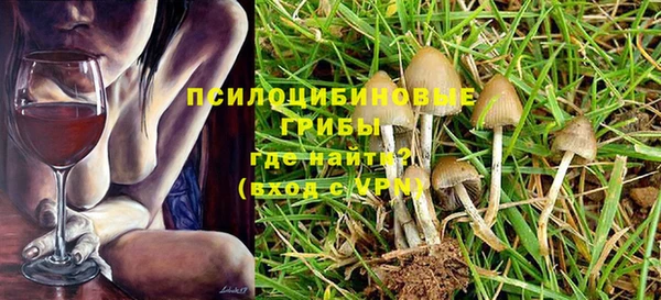 бошки Щигры